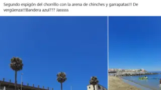 Captura de pantalla (1228)