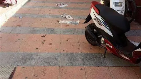 excrementos gato
