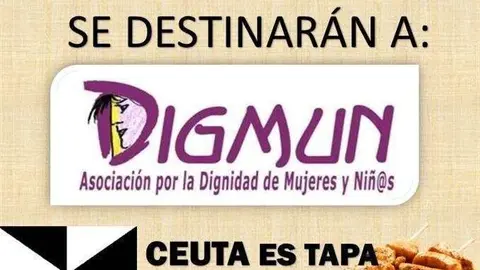 cartelTAPAsolidaria (Custom)