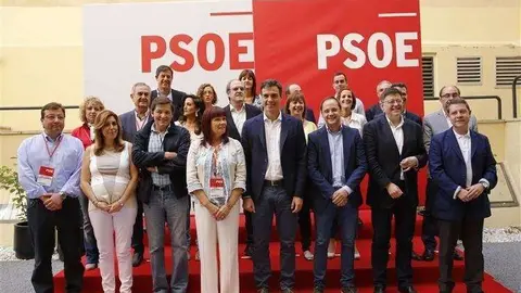 comite federal PSOE (Custom)