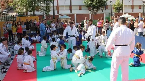 judo (Custom)