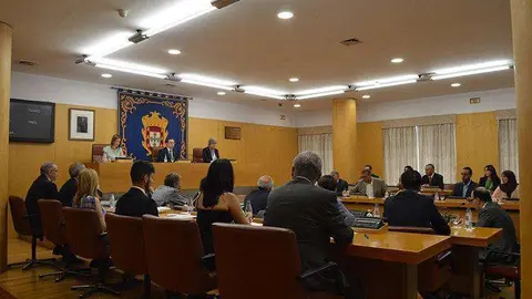 pleno constitucion 2015 (479)