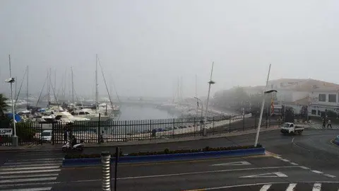 niebla