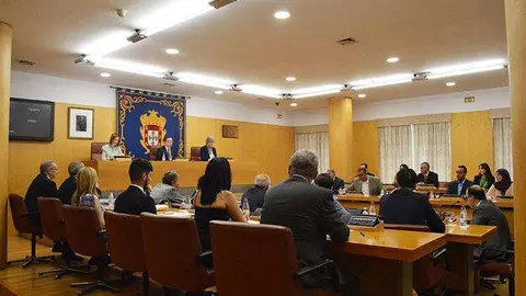 pleno constitucion