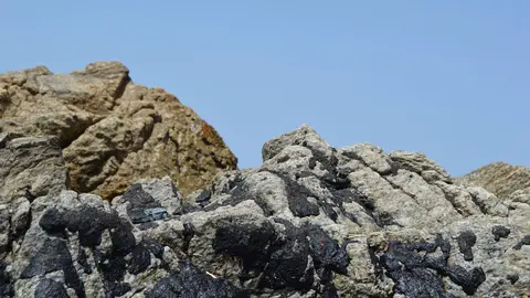 vertido san amaro seco (1)