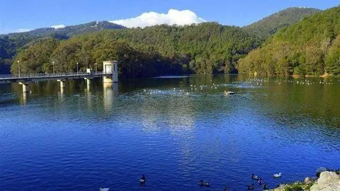 pantano renegado