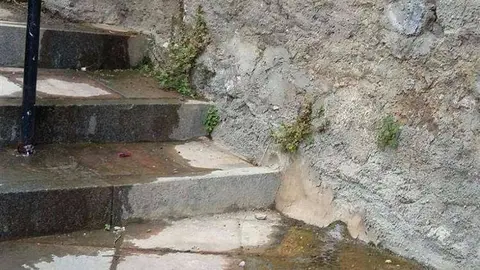 arroyo paneque (Custom)