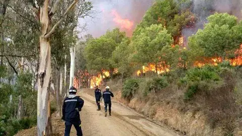Bomberos a pie de fuego