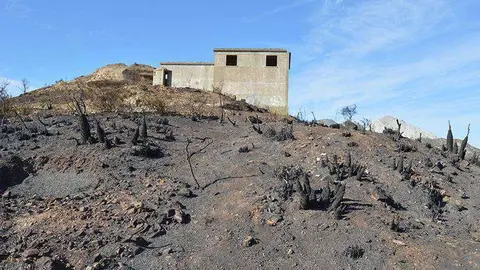 zona afectada incendio despues exticion (6)