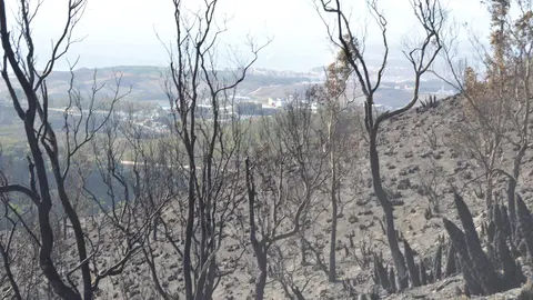 zona afectada incendio despues exticion (35)