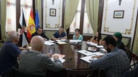 Comisi&oacute;n especial reforma reglamento (Custom)