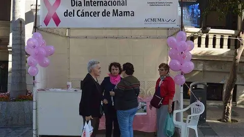 dia internacional del camcer de mama (5)