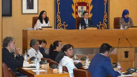 pleno-octubre-2015-(34)