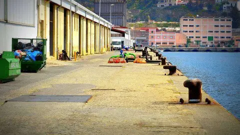 muelle-alfau-(1)