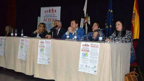 acefan-jornadas-1