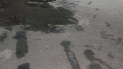miramar dos-1