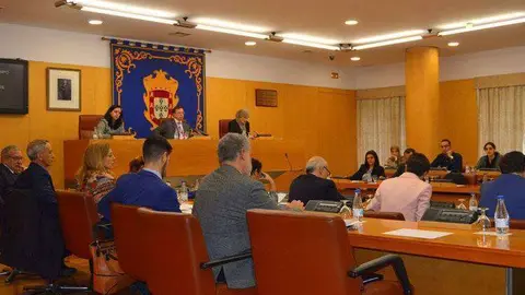 pleno-diciembre1