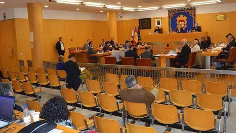pleno-28-diciembre-1