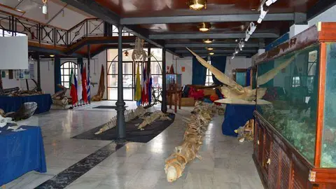 oscar-oca&ntilde;a-museo-del-mar-1