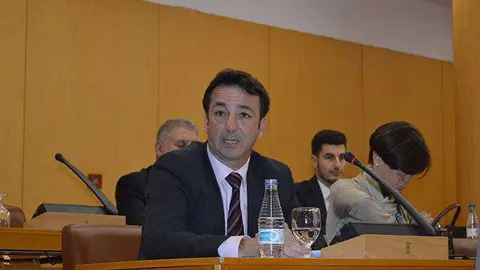 Pleno comparecencia ICD (89)
