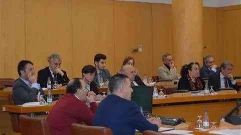 pleno ordinario enero 2016 (18) (Custom)
