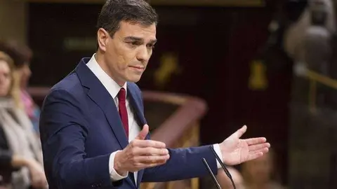 Pedro S&aacute;nchez investidura-1 (Custom)