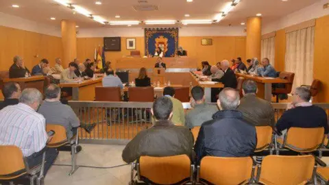 pleno-estado-1