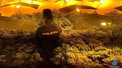 operaci&oacute;n policial granada