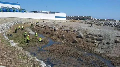 MDyC trabajadores (Custom)