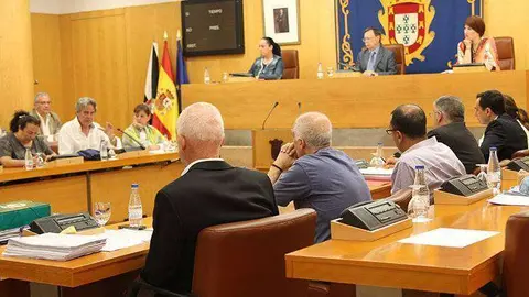 junta general