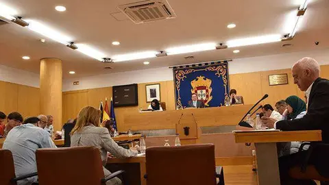 Pleno Junio 2016 (17)