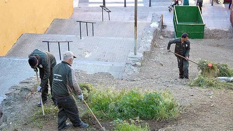 brigadas-verdes