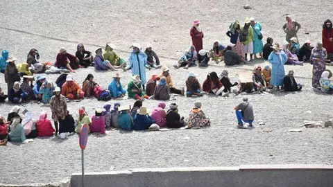 porteadoras