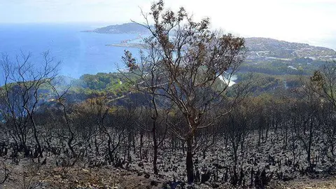 zona afectada incendio despues exticion (38)