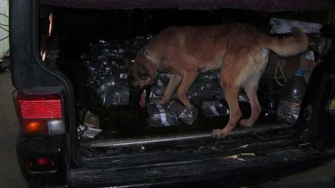 perro droga