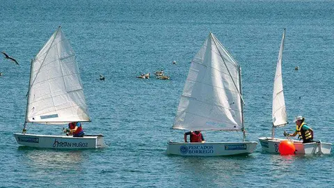 regata-optimist