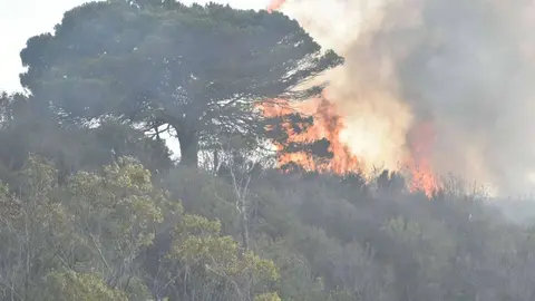 incendiop