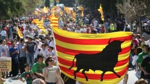 toros