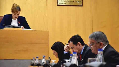 psoe-pleno-presupuestos2017