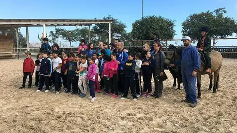 actividadesICD