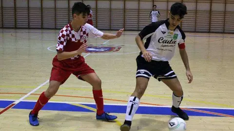 f&uacute;tbol sala