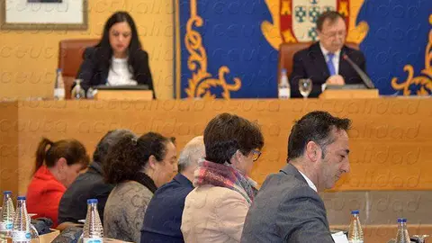 pleno pp