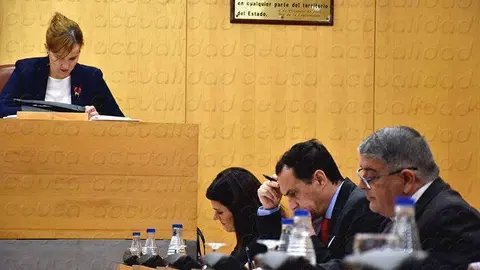 psoe socialistas hern&aacute;ndez daoud miaja mas pleno