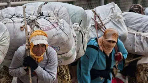 mujeres mula