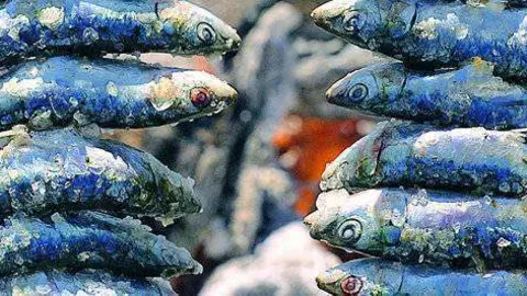 sardinas
