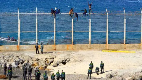 Inmigrantes Custom