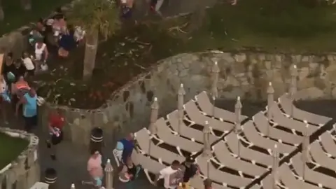 viral piscina