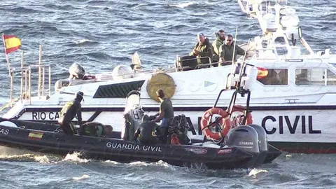 Inmigrante grande apaisada