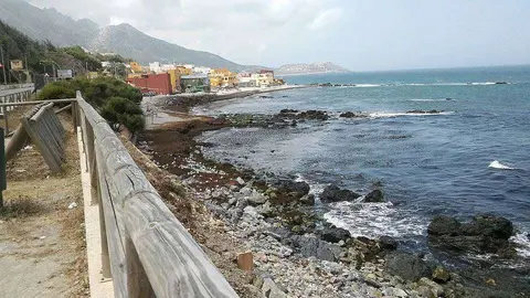 playa-benzu-algas