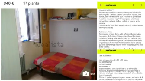 viral piso